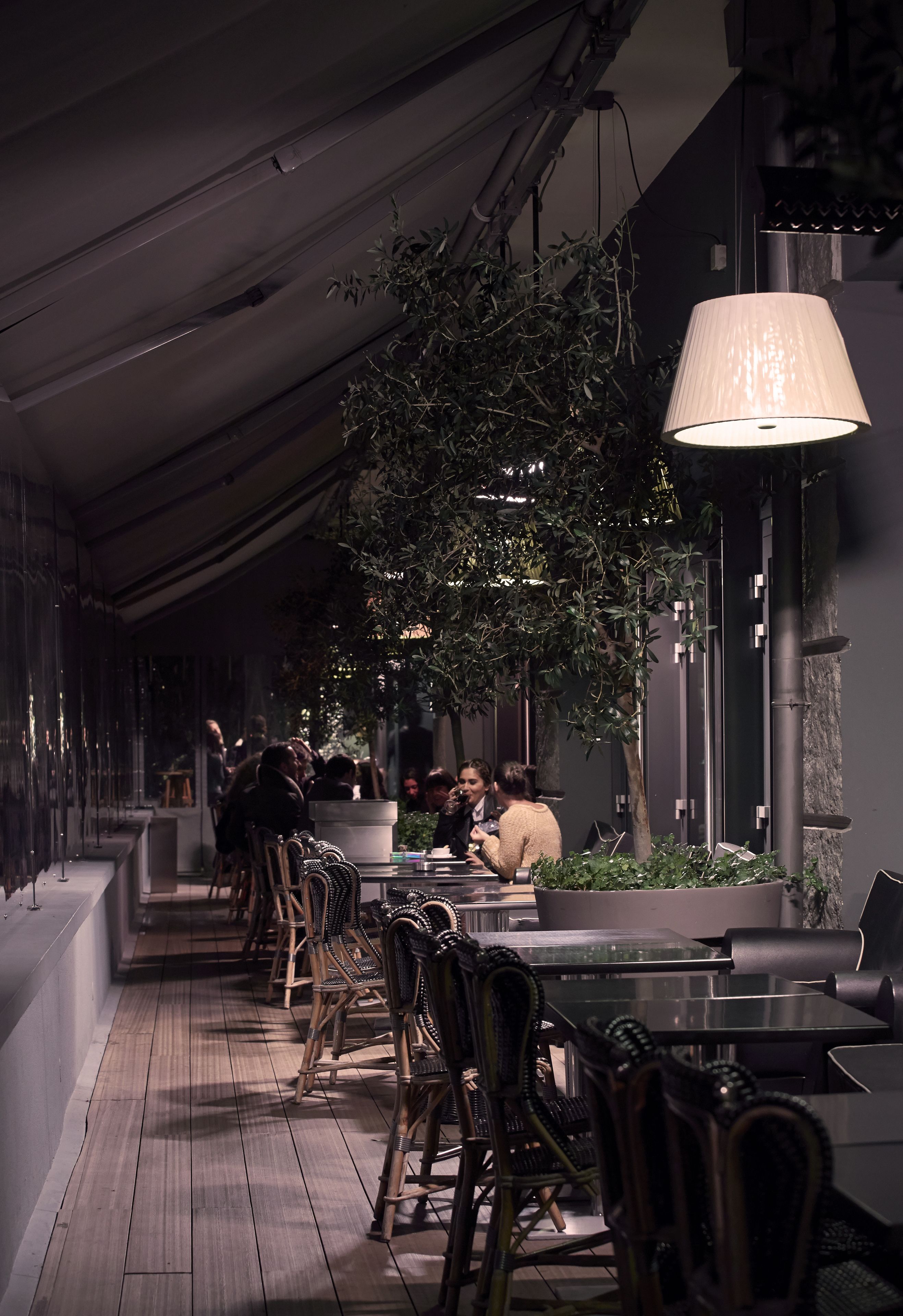 Un comedor interior con poca luz, suelo de madera, sillas de mimbre y una planta grande en maceta.