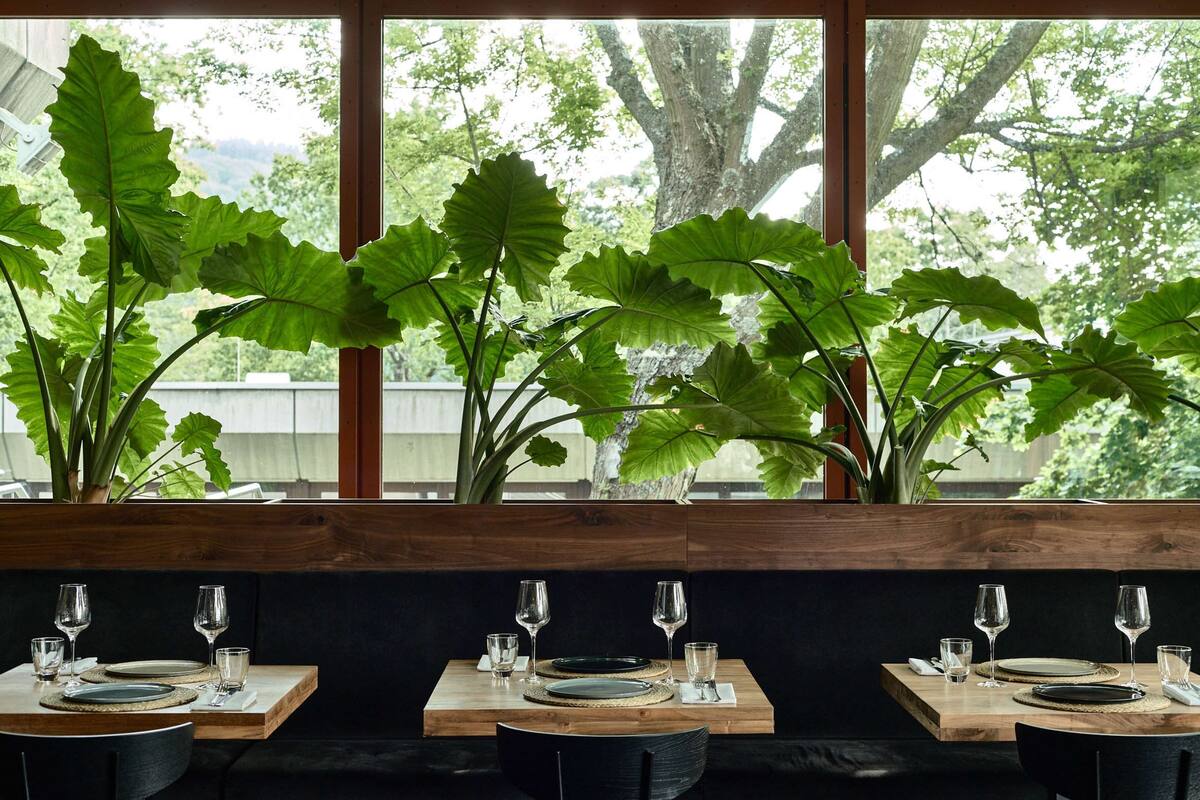 Bold Room | Bar (en la propiedad) | Con vista al jardín, con servicio de comidas y cenas