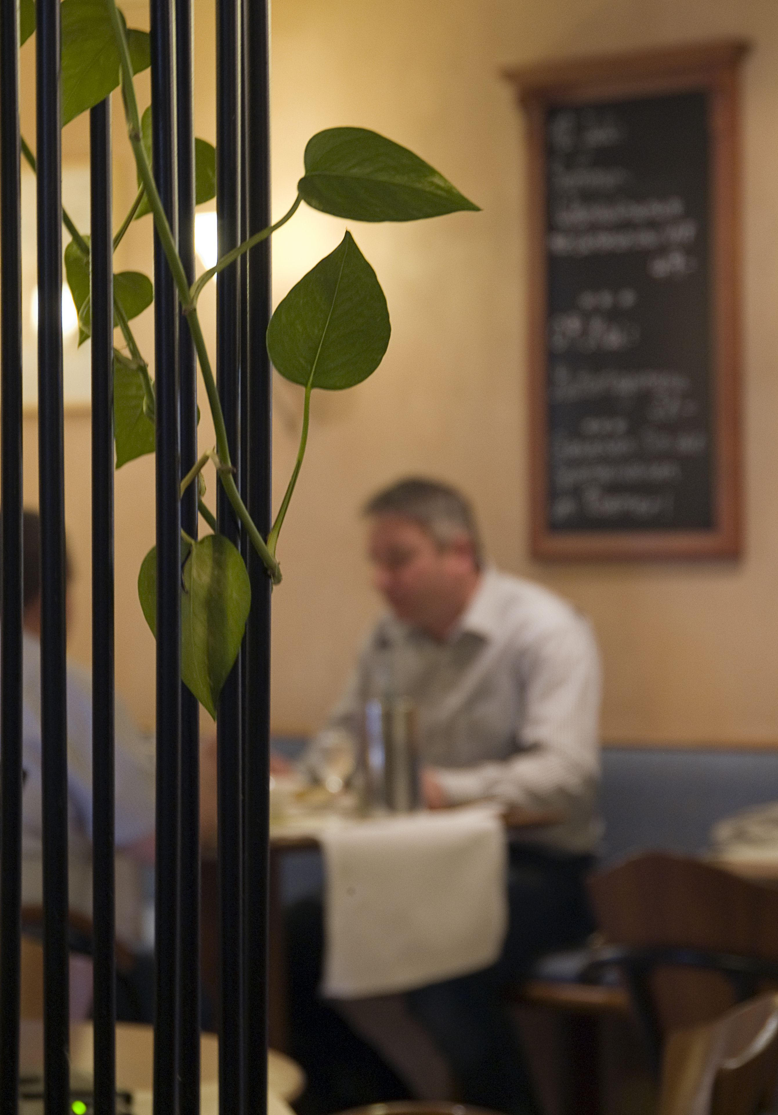 Ein Restaurantinnenraum mit unscharfem Hintergrund einer Person, die an einem Tisch sitzt.