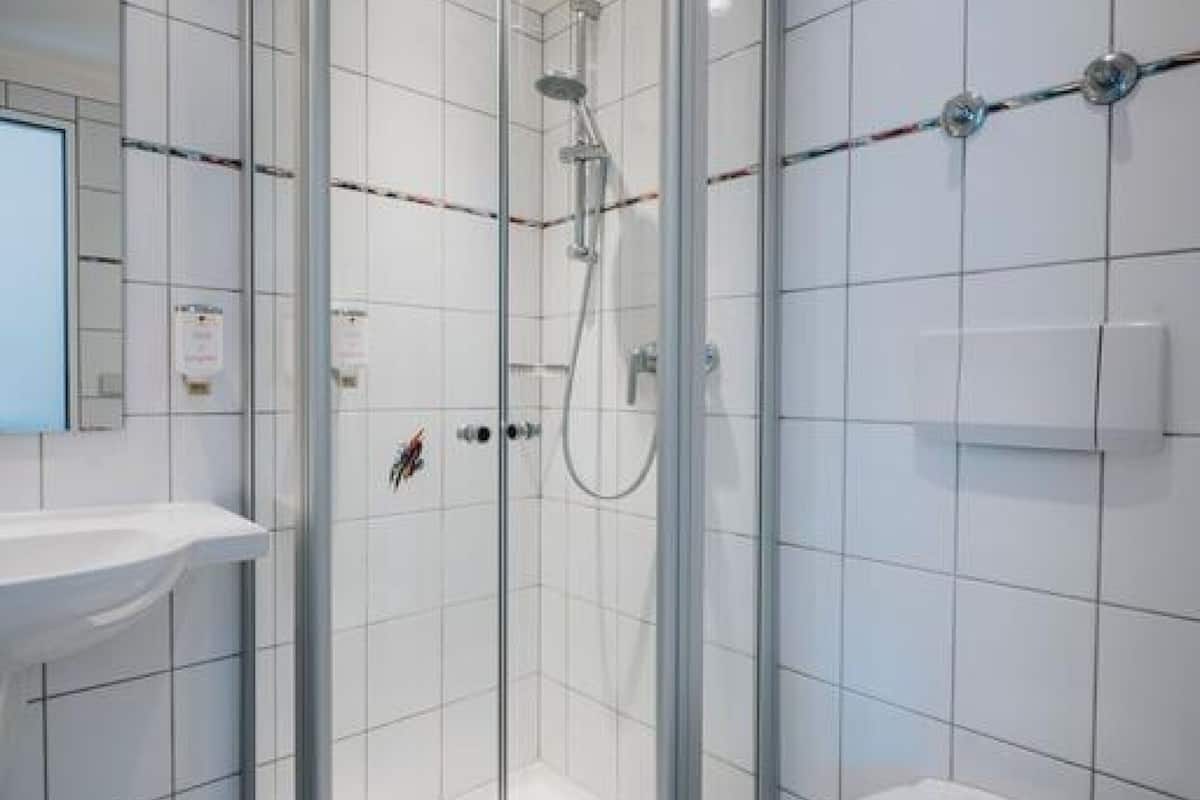 shower, free toiletries, hair dryer, towels