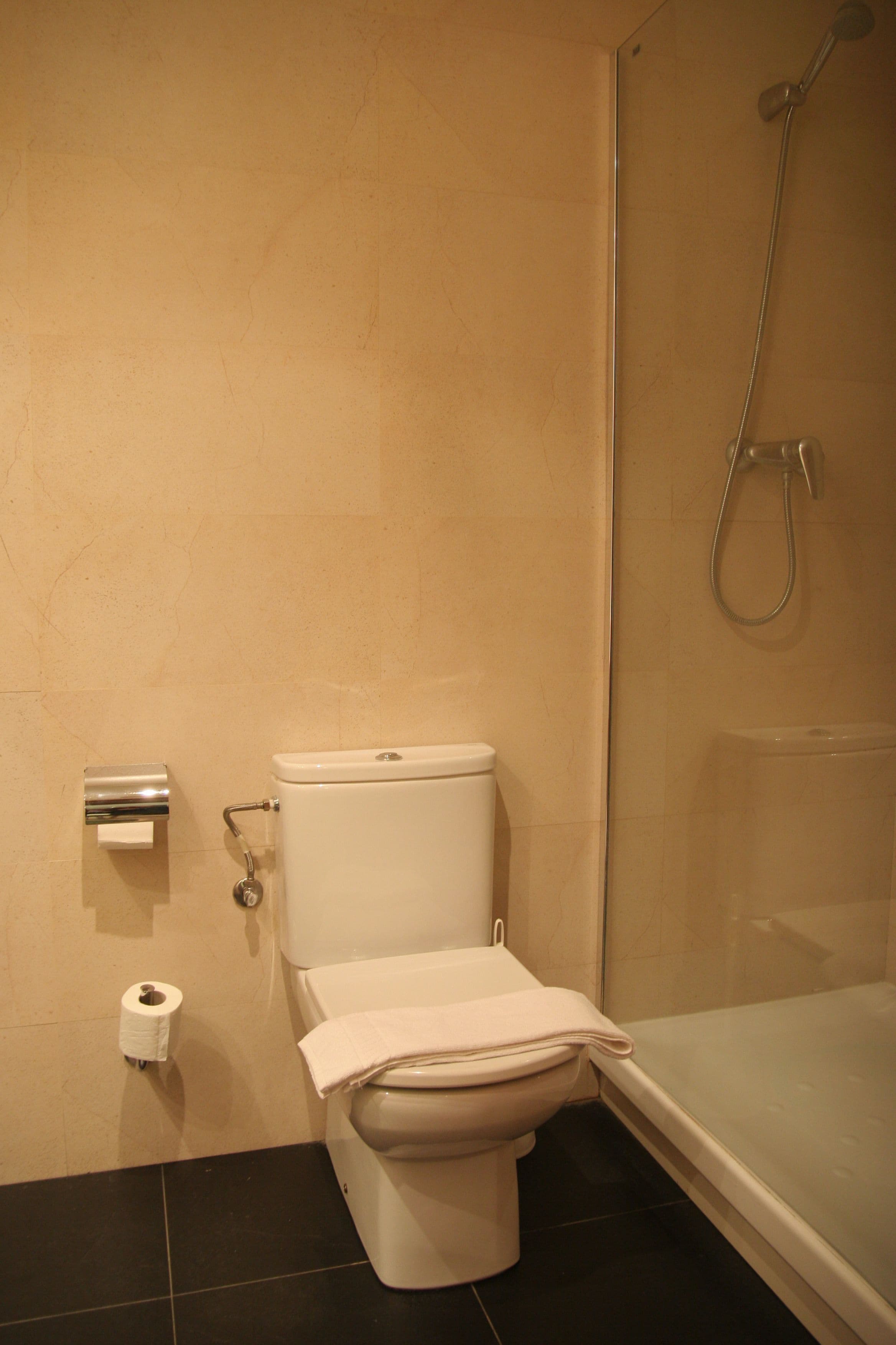 A bathroom with a toilet, a shower, and a toilet paper holder.