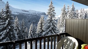 Een balkon met uitzicht op besneeuwde bomen en bergen.