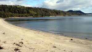 A beach with a sandy shore, calm water, and a forested hillside in the background.