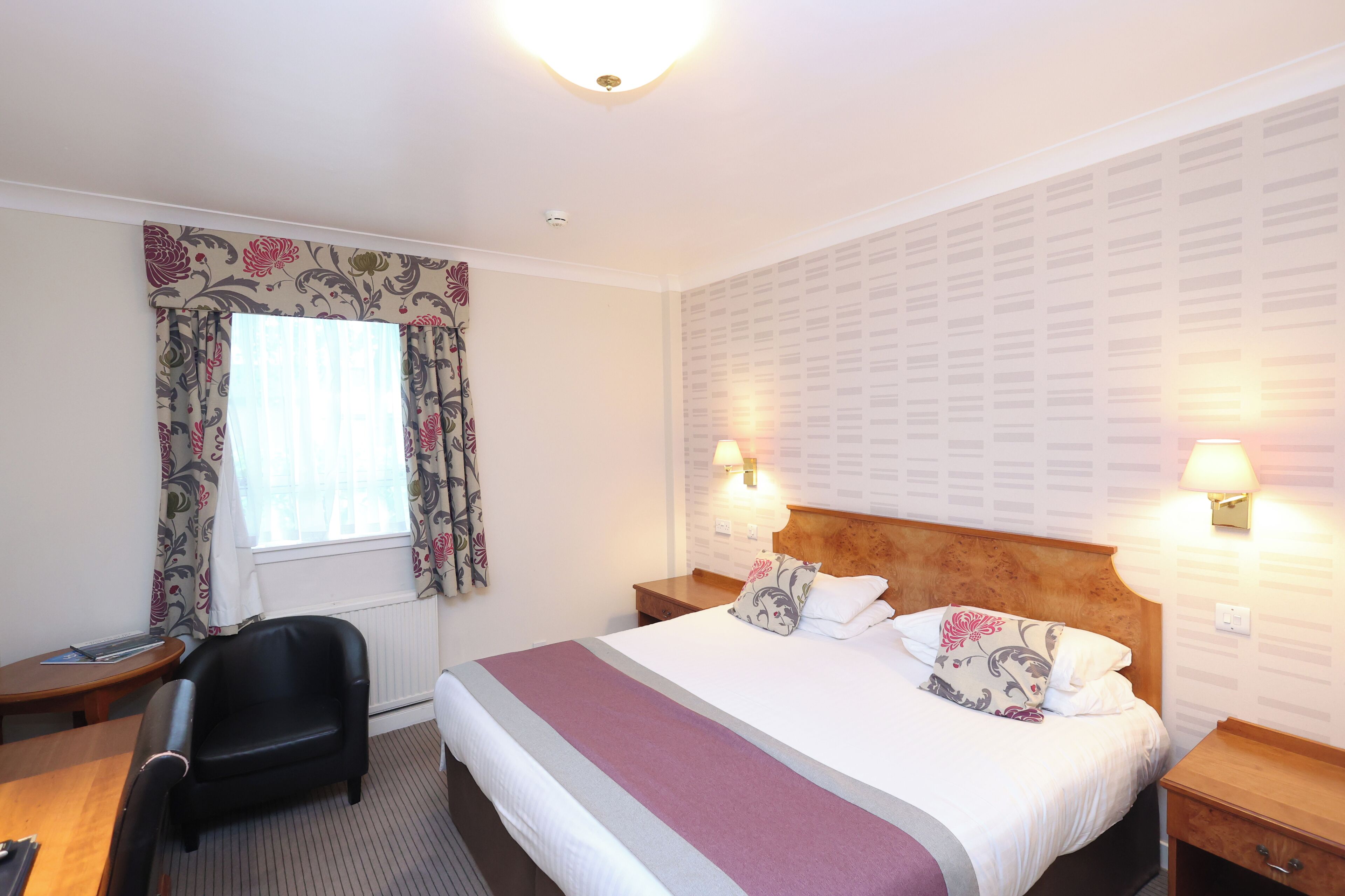 Ropa de cama hipoalergénica, escritorio y cortinas blackout 