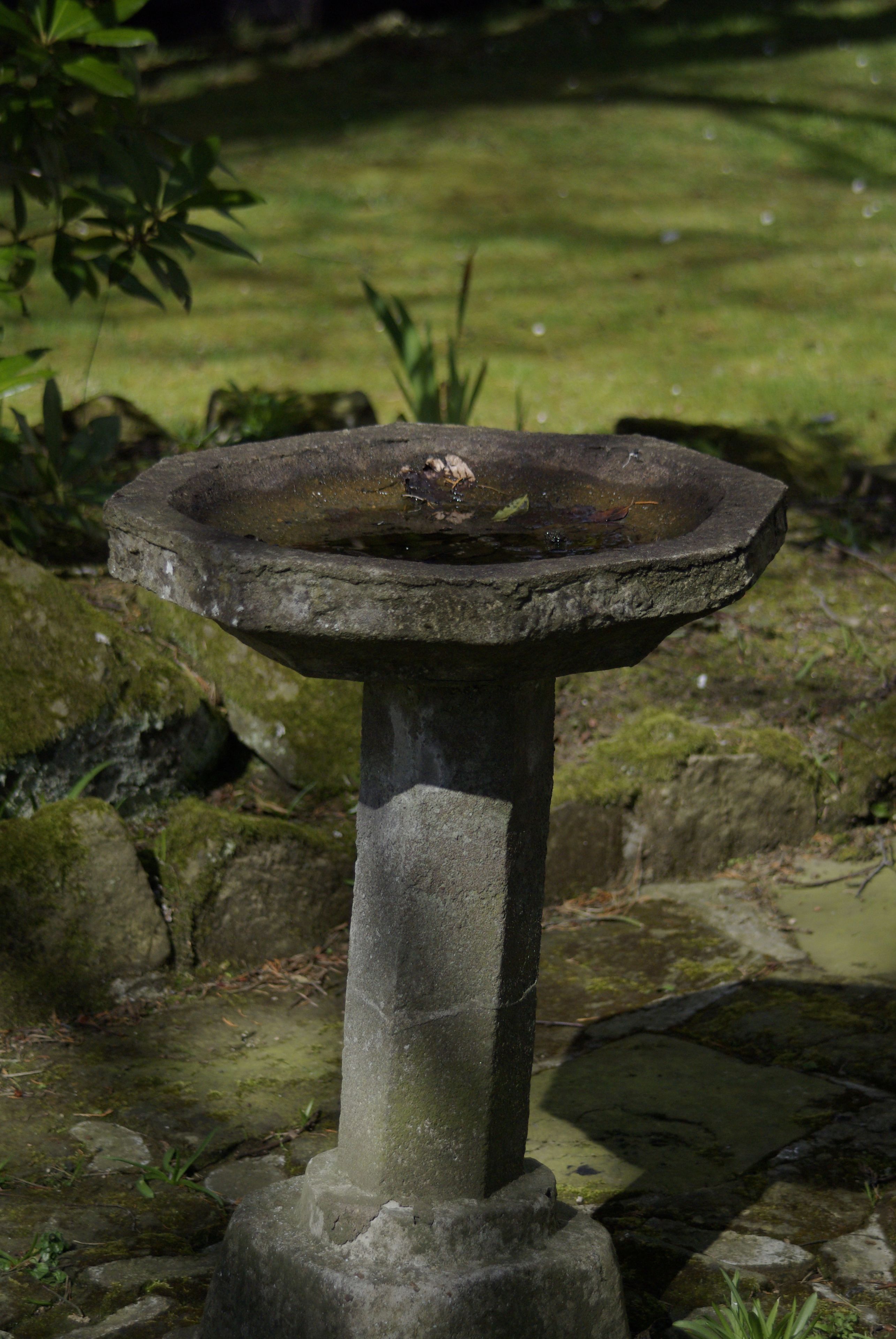 Un abrevadero de piedra en un jardín con rocas cubiertas de musgo y follaje al fondo.