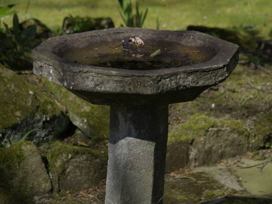 Un abrevadero de piedra en un jardín con rocas cubiertas de musgo y follaje al fondo.