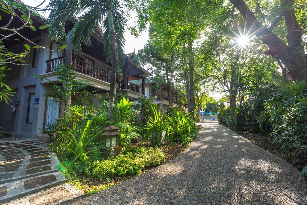 A pathway lined with lush greenery and a building with a balcony.