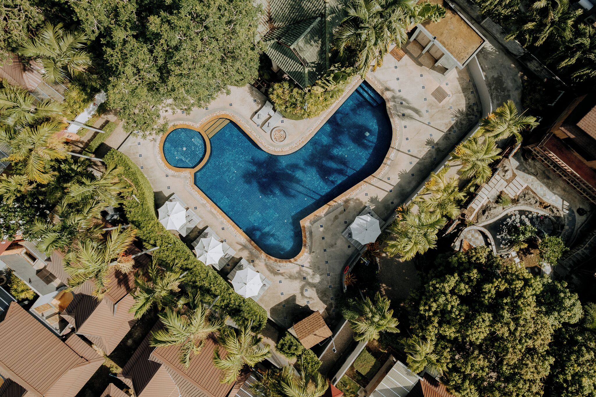 An aerial view of a swimming pool surrounded by palm trees and a paved deck.