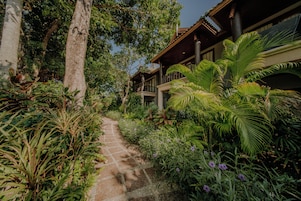 Uma trilha leva a um edifício rodeado por vegetação exuberante e plantas tropicais.