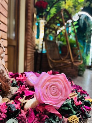 Une rose rose dans un pot, accompagnée de diverses autres fleurs et feuillages.