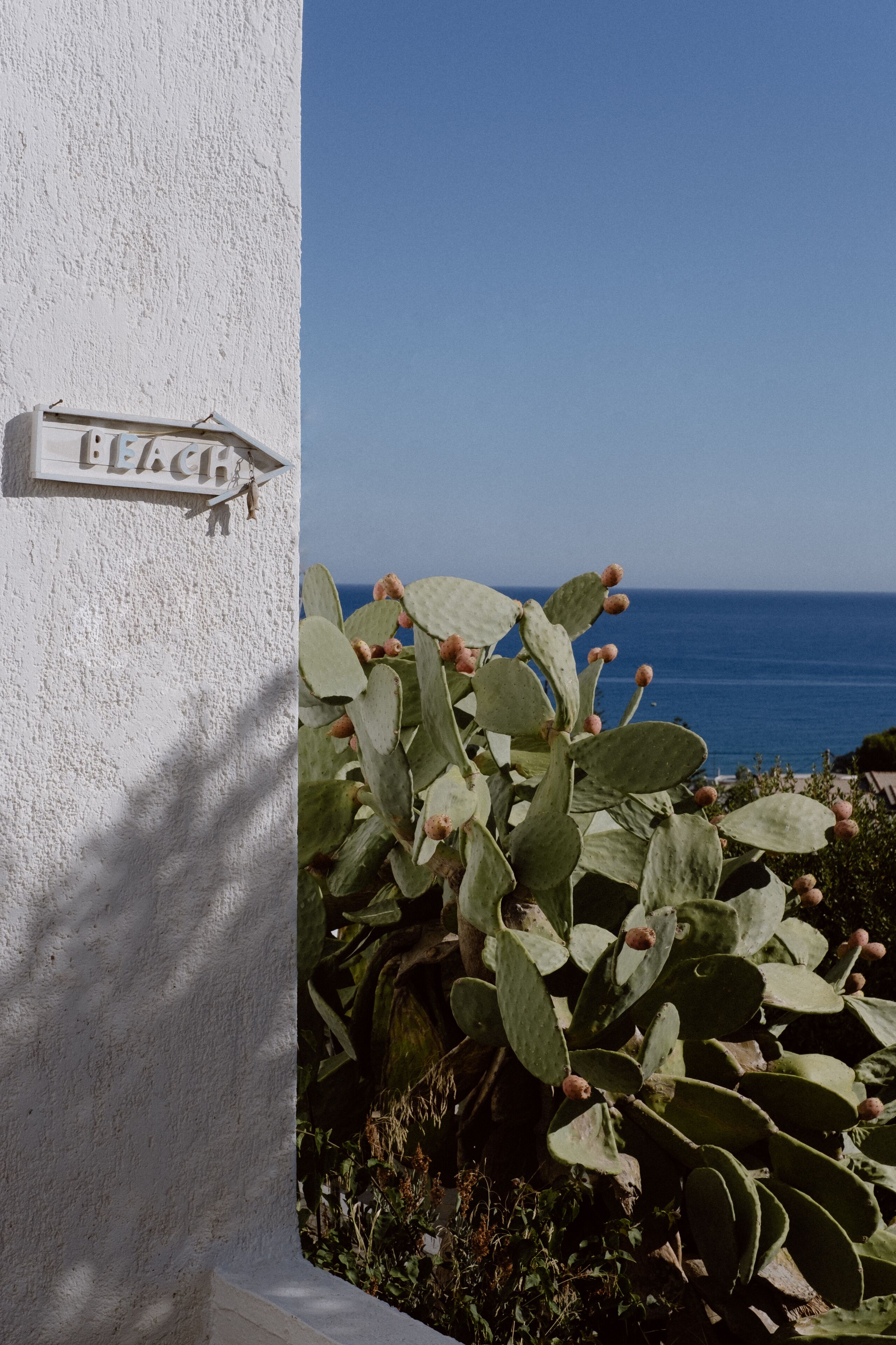 Foto - Sunshine Village Hotel