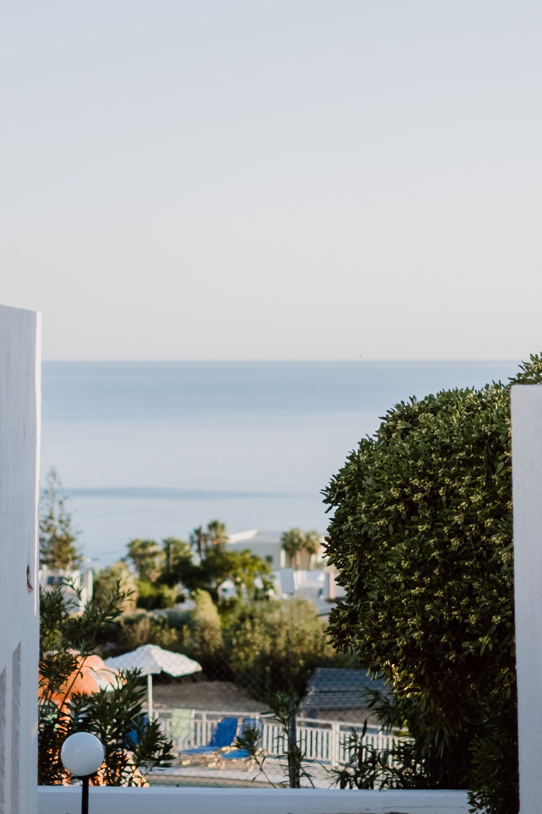 Foto - Sunshine Village Hotel