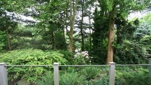 A balcony with a view of a lush garden with various trees and shrubs. - Alpenhof Bed and Breakfast (Media)