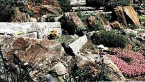 A garden with large rocks, various plants, and a pathway. - Alpenhof Bed and Breakfast (Media)