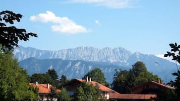 Standard Single Room, 1 Double Bed | View from room