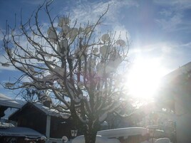 Actividades para menores