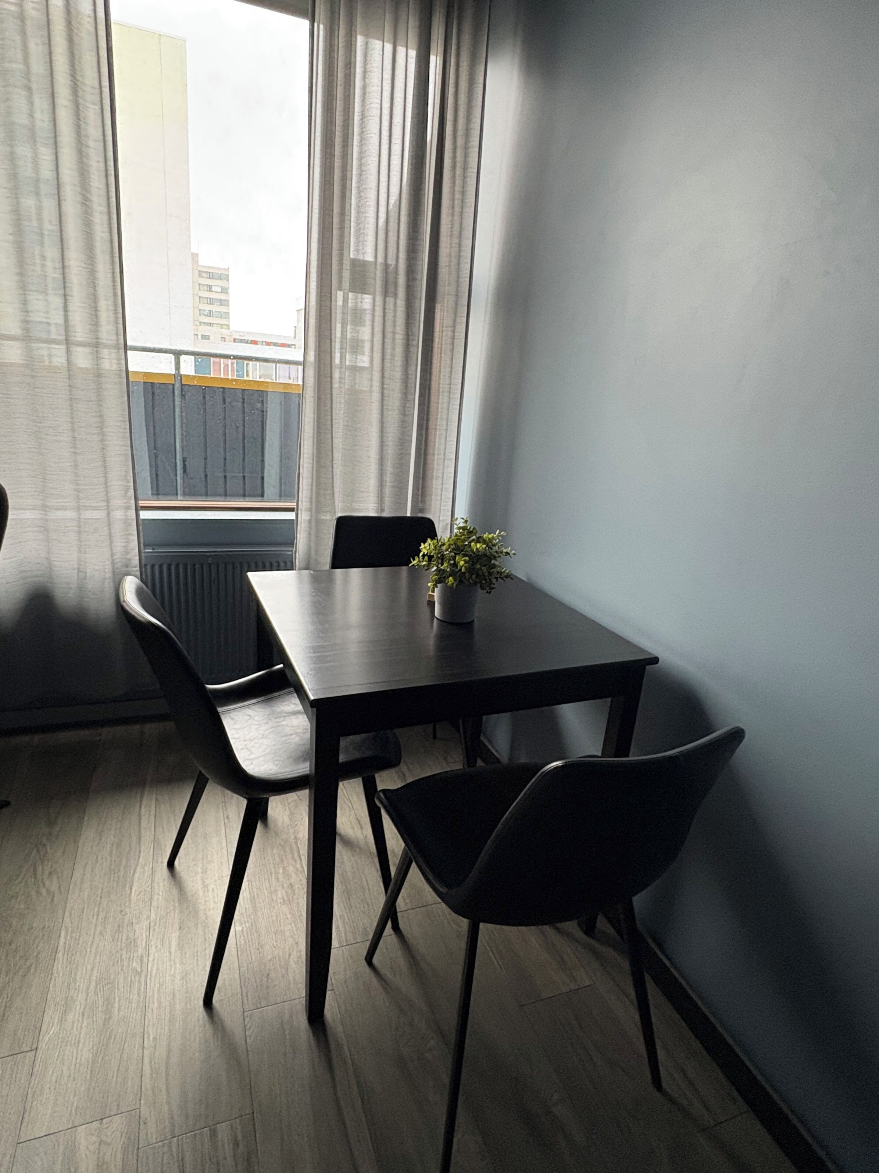 A room with a table and chairs, a potted plant, a window with curtains, and a view of buildings outside.