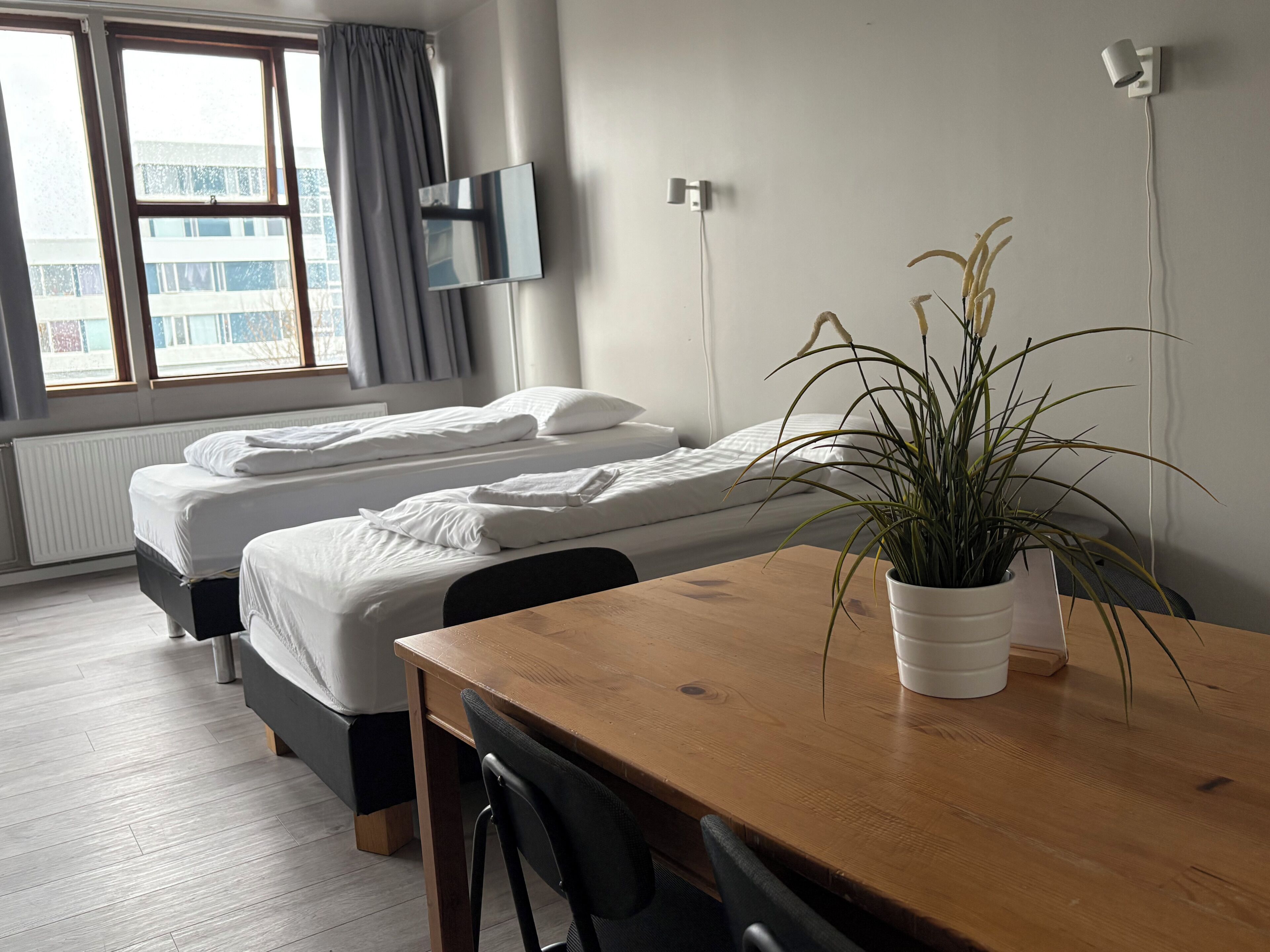 A hotel room with two beds, a wooden table, a potted plant, and a TV mounted on the wall.