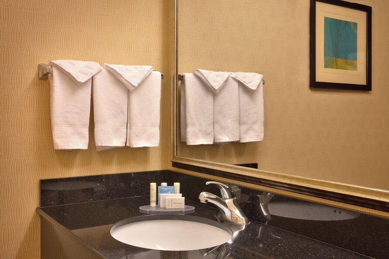 combined shower/bathtub, free toiletries, hair dryer, towels