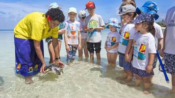 Eine Gruppe von Menschen am Strand, klares Wasser und eine Person hält eine Schildkröte.