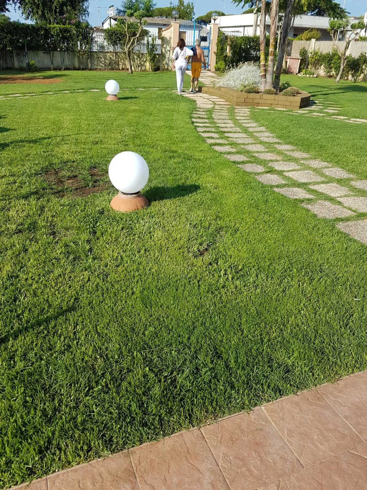 A well-maintained lawn with two spherical objects and a paved walkway.