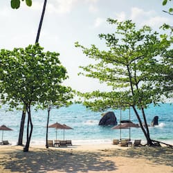 Relax by the ocean with lounge chairs and umbrellas, surrounded by palm trees and a rocky outcrop.