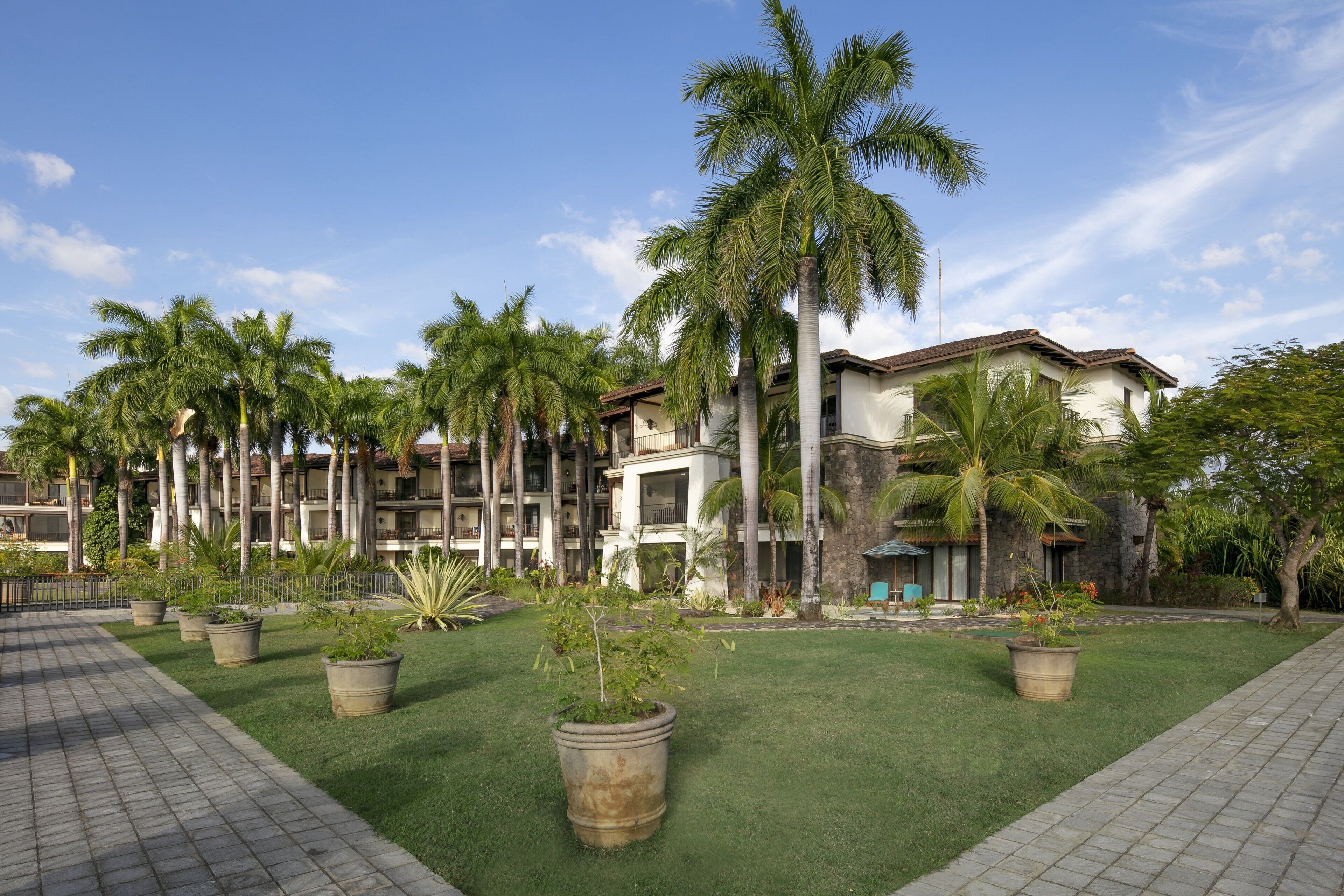 Un patio de hotel con palmeras, un sendero pavimentado y un edificio con varios balcones.