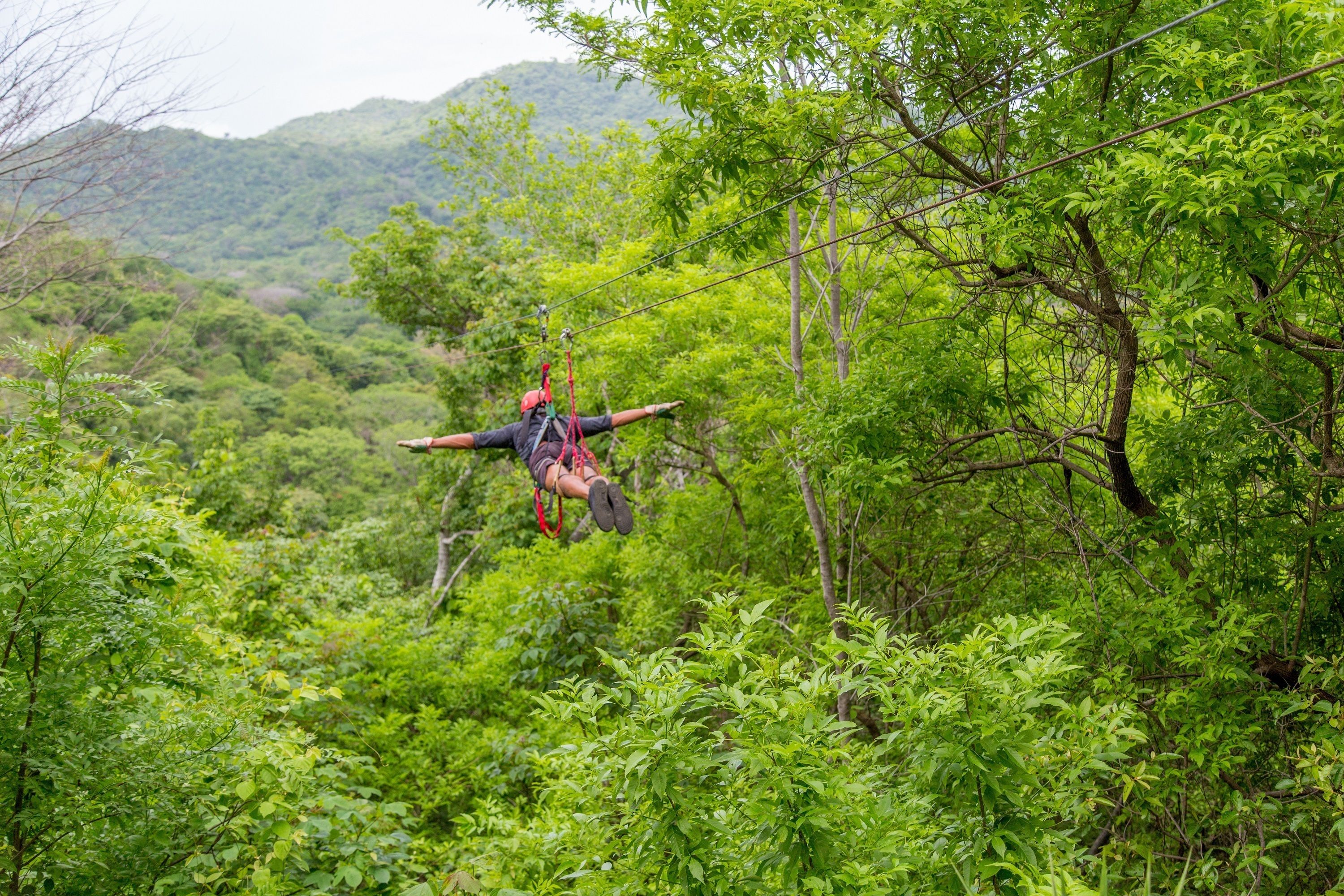 A person suspended in mid-air on a zip line, surrounded by dense green foliage and hills in the background.