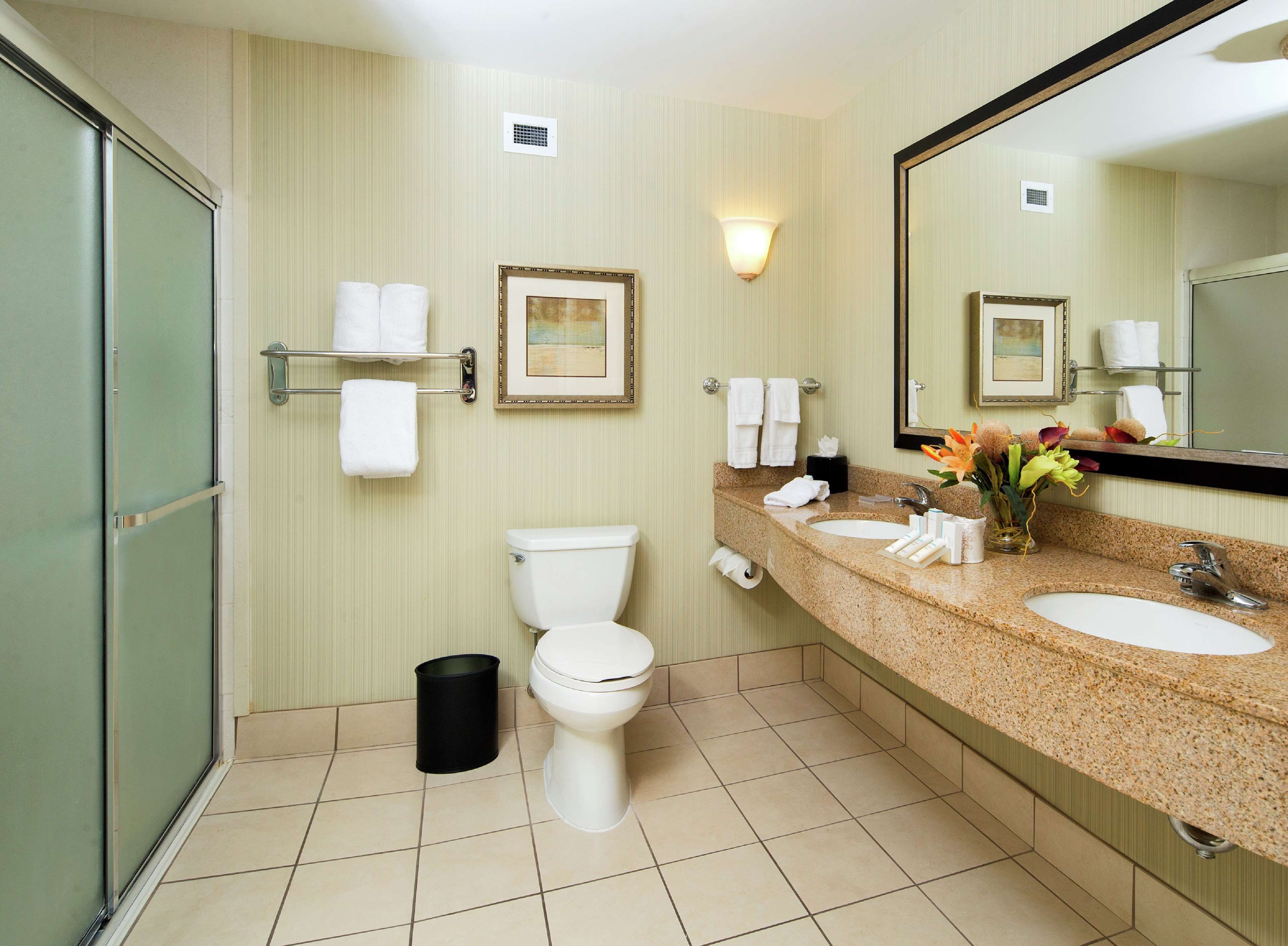 suite, 1 king bed | bathroom | combined shower/bathtub, free toiletries, hair dryer, towels