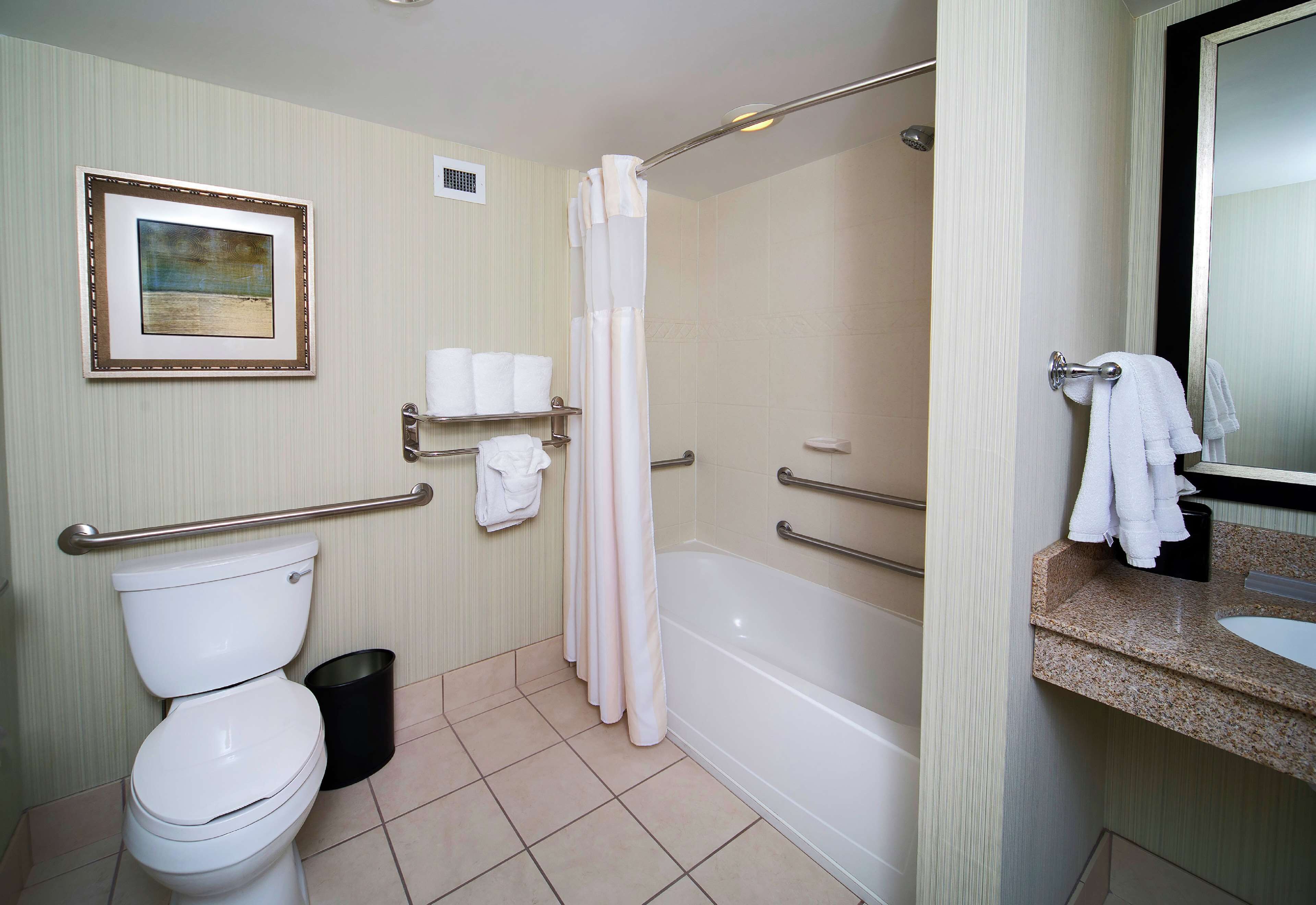 combined shower/bathtub, free toiletries, hair dryer, towels