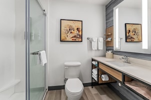 Ducha del cuarto de baño