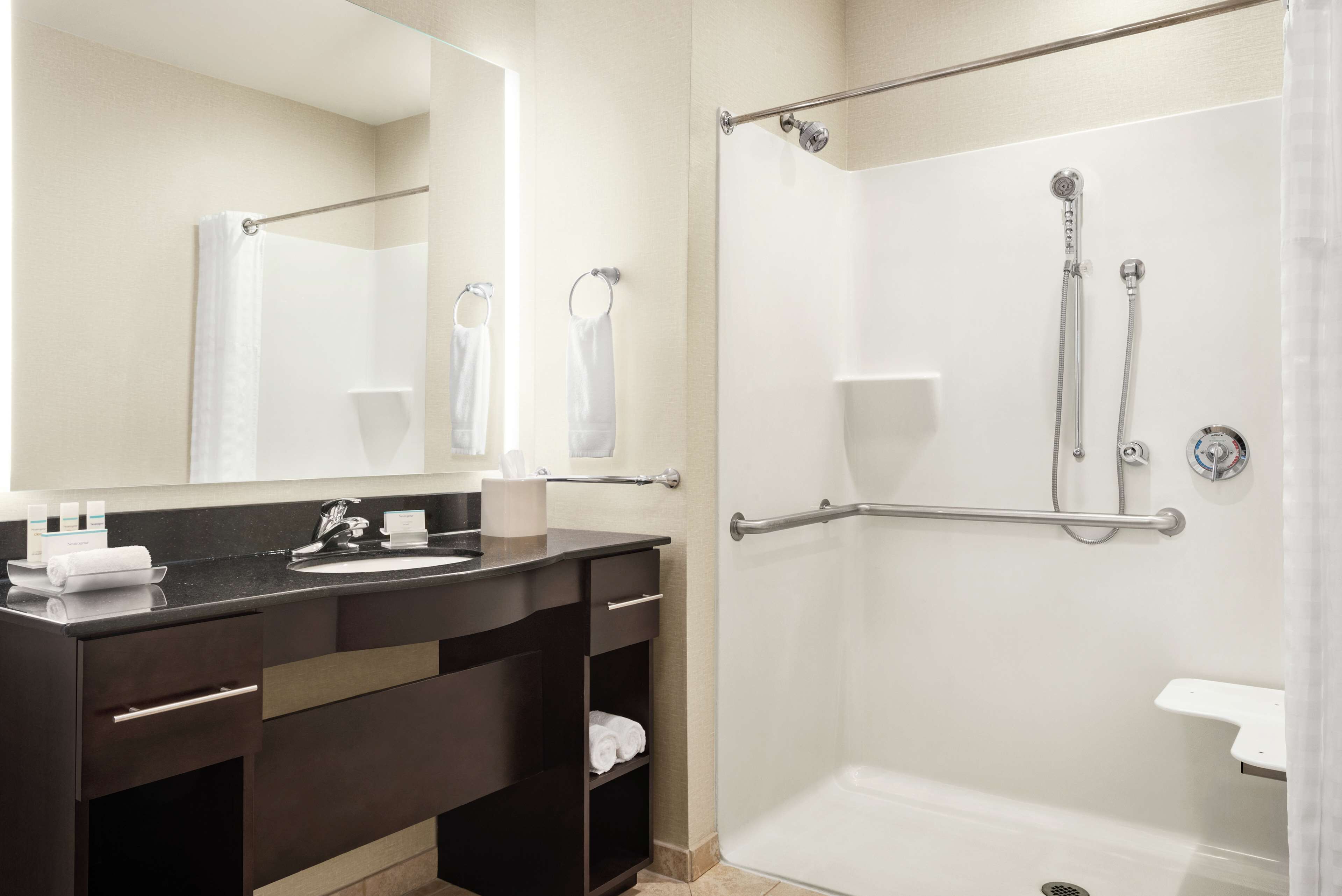 studio, 1 king bed, accessible (mobility & hearing, roll-in shower) | bathroom shower