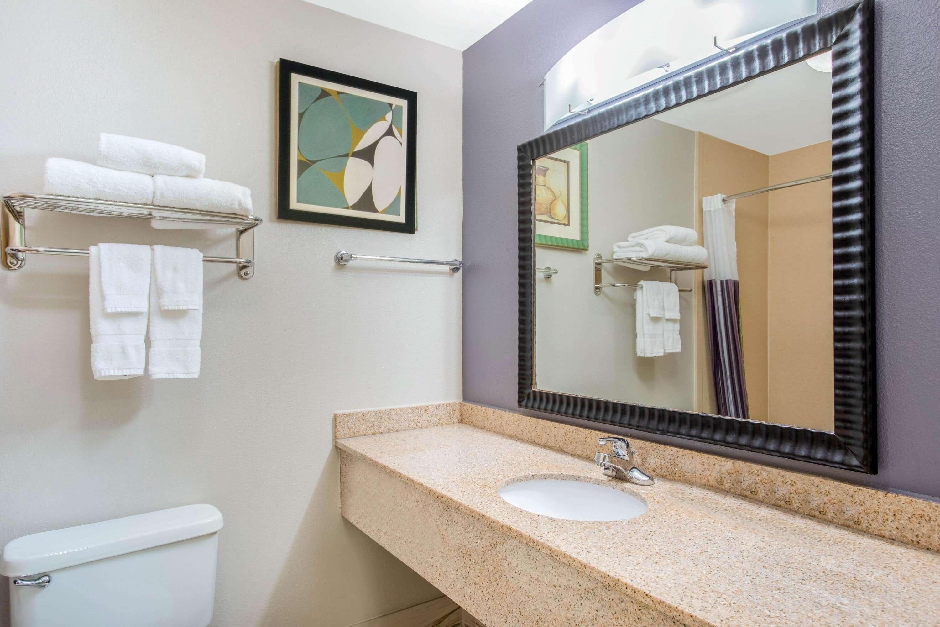 combined shower/bathtub, free toiletries, hair dryer, towels