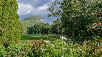 A lush garden with a variety of flowers and trees, a well-maintained lawn, and a distant mountain.