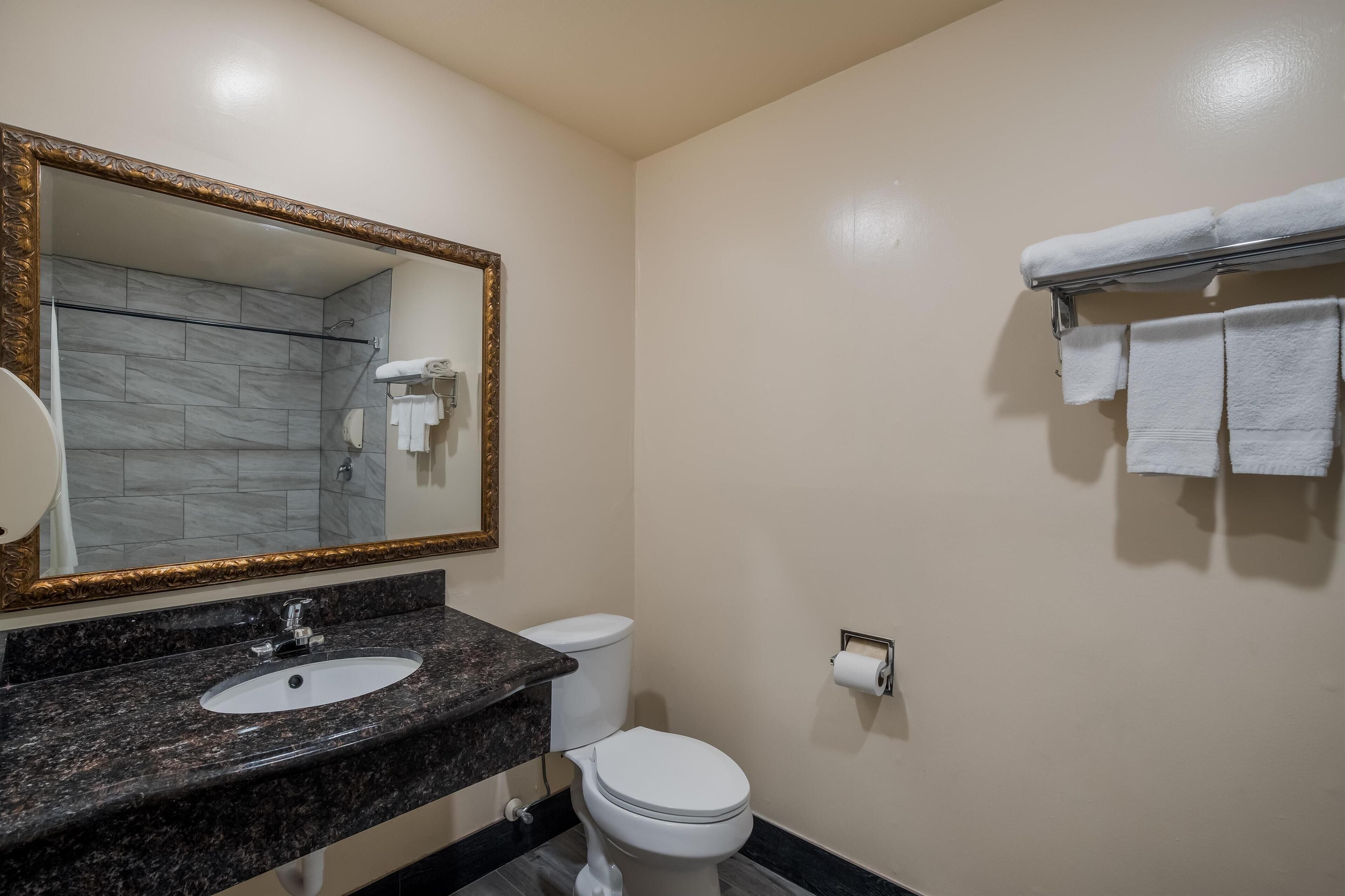 Un bany amb un lavabo de marbre, un vàter blanc, un mirall gran amb marc daurat i un penjador de tovalloles amb diverses tovalloles.