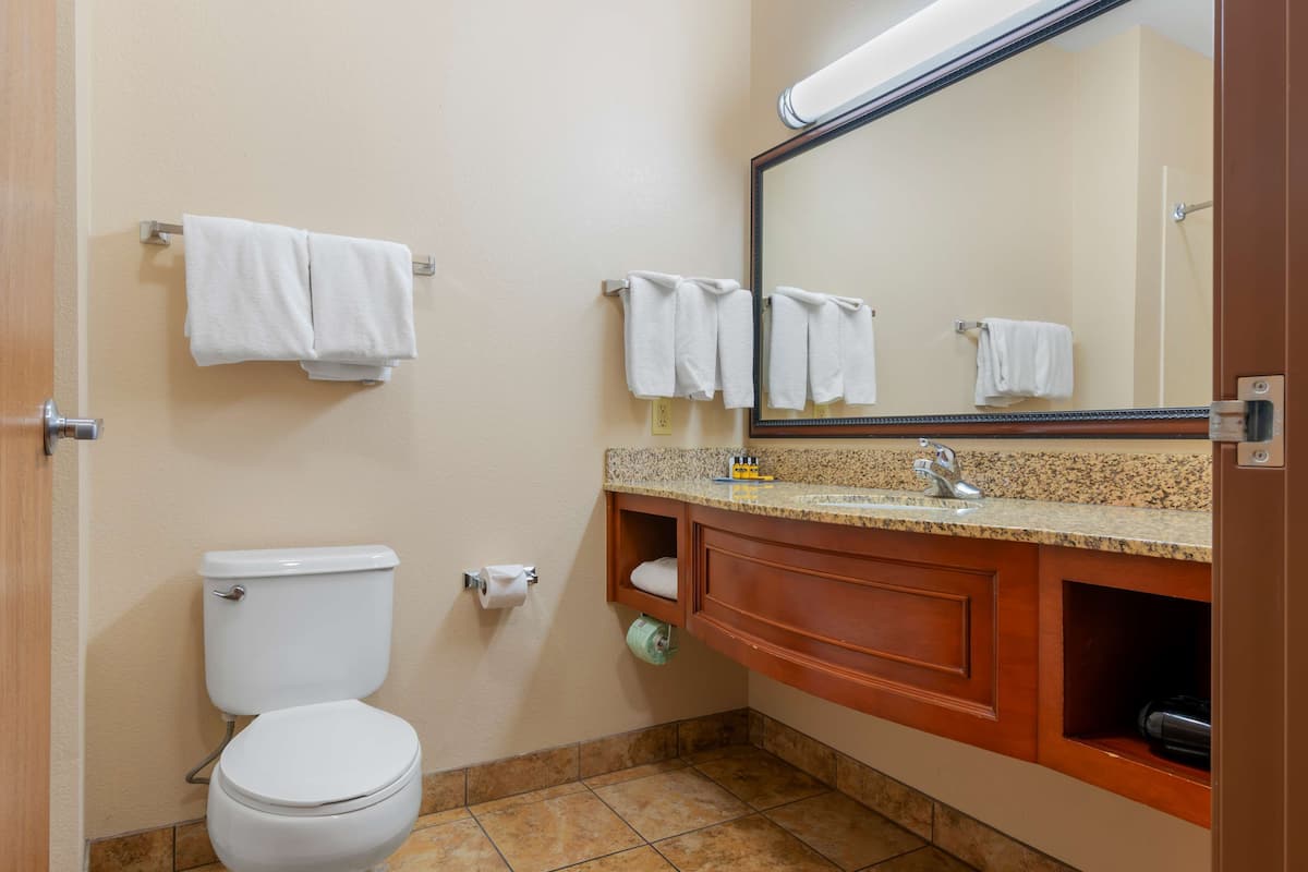 free toiletries, hair dryer, towels