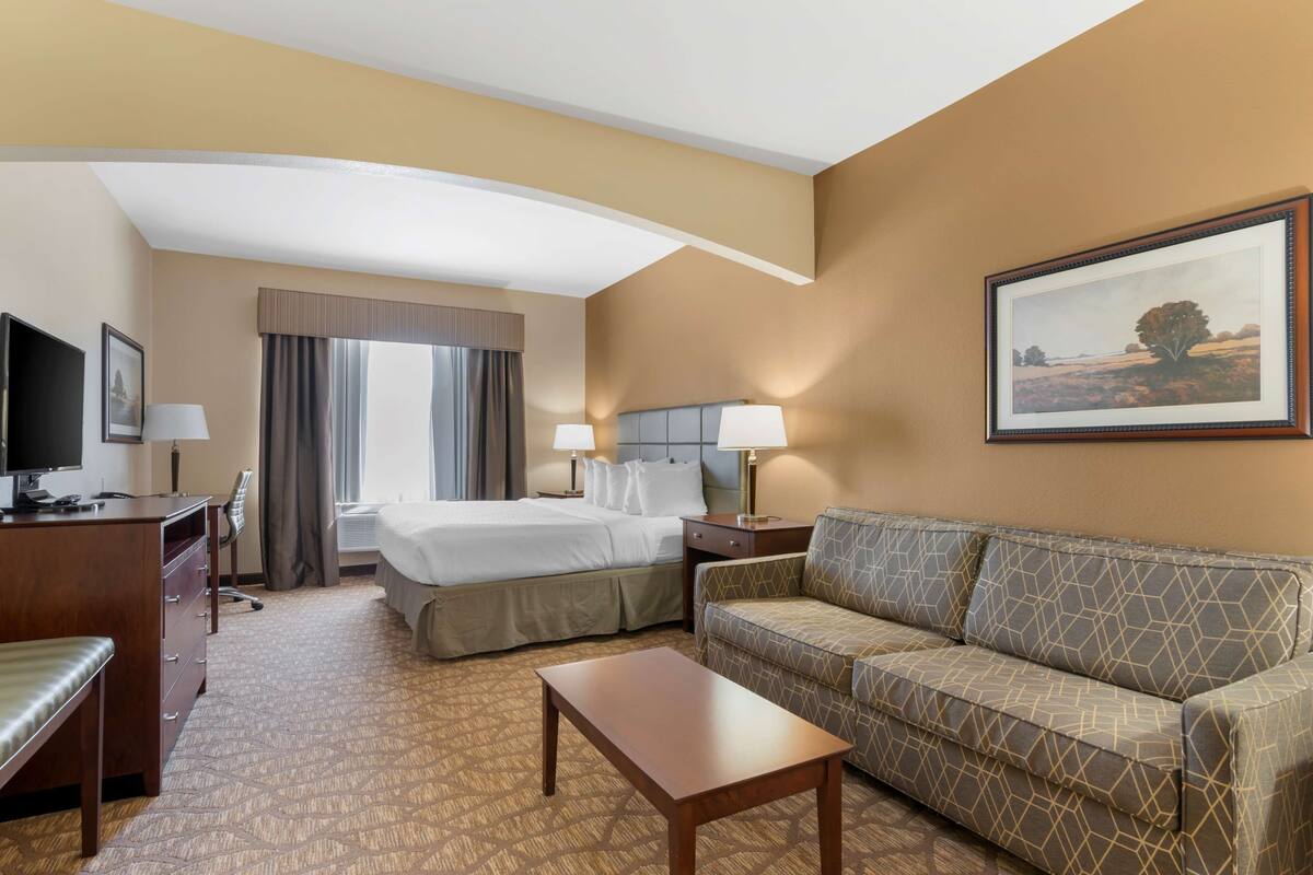 A hotel room with a bed, a sofa, a desk with a chair, a television, and a framed picture on the wall.