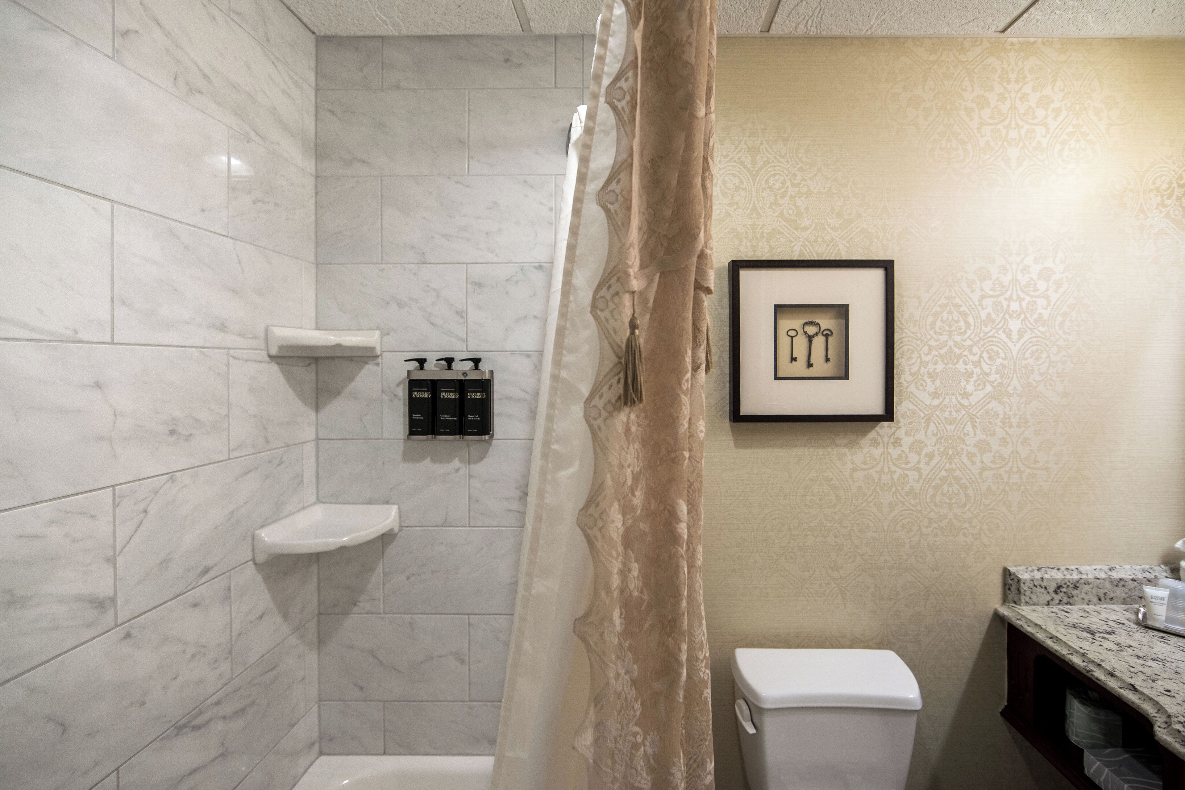 A bathroom with a shower, toilet, vanity, and a framed picture on the wall.