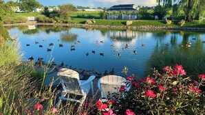 A serene pond with ducks, surrounded by lush greenery and a gazebo.