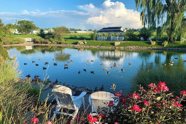 Näkymä majoituspaikasta