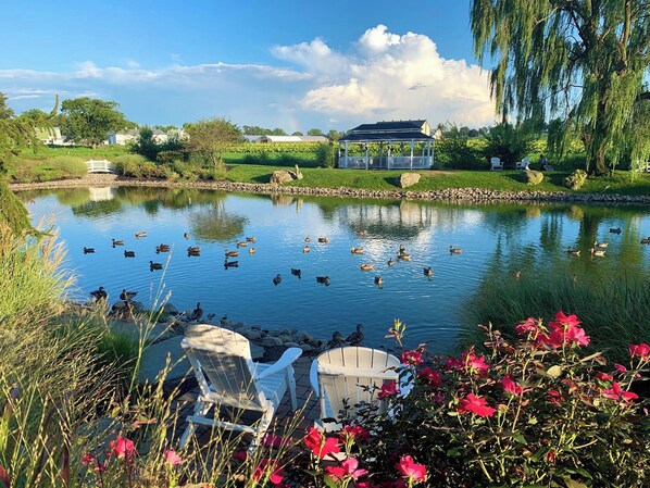 Vista desde la propiedad