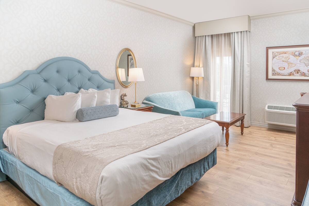 standard room, 1 king bed with sofa bed | in-room safe, blackout curtains, iron/ironing board, free wifi