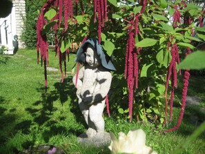 Jardim