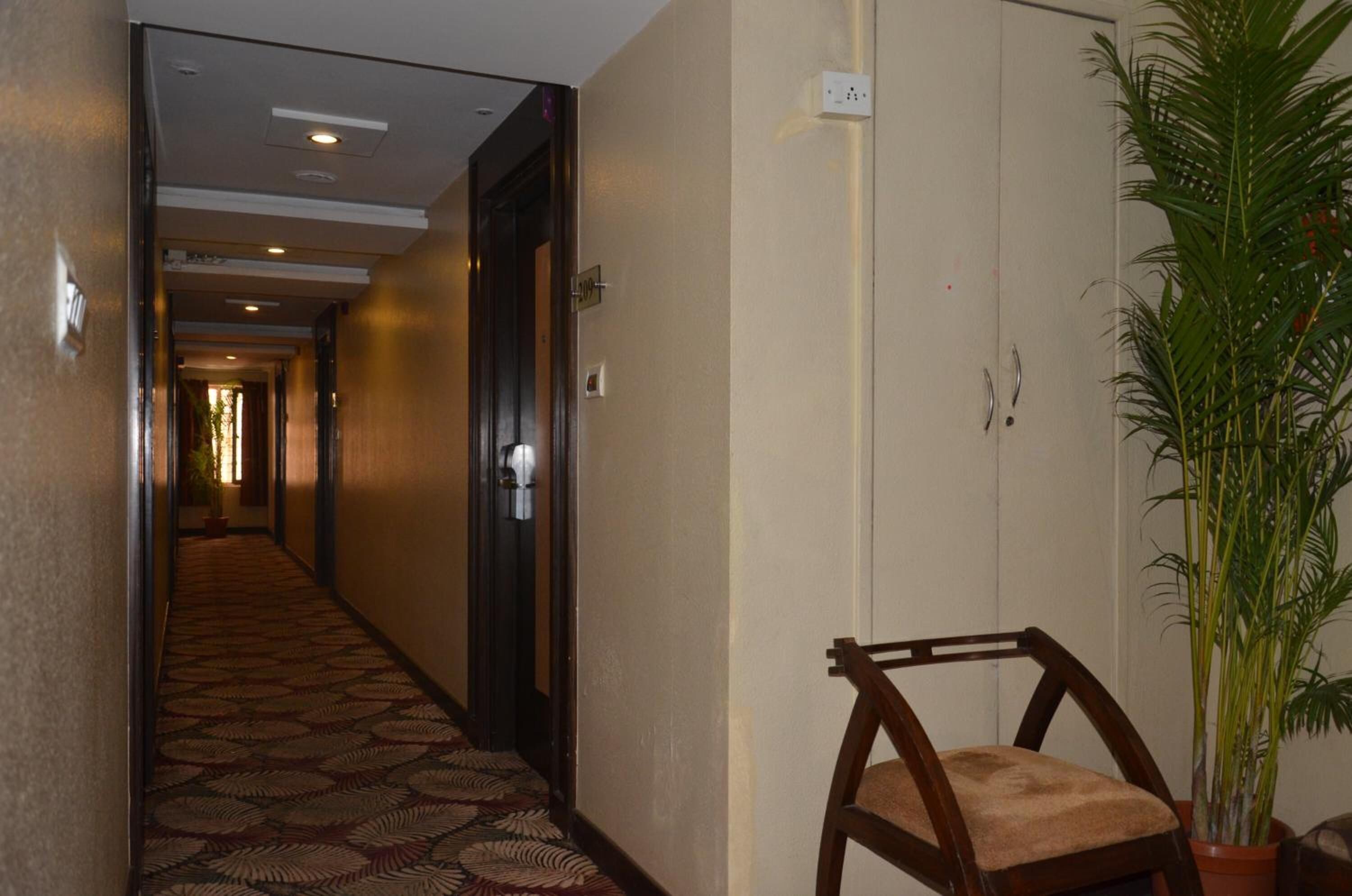 Un pasillo de hotel con alfombra estampada, una silla de madera y una planta en maceta.
