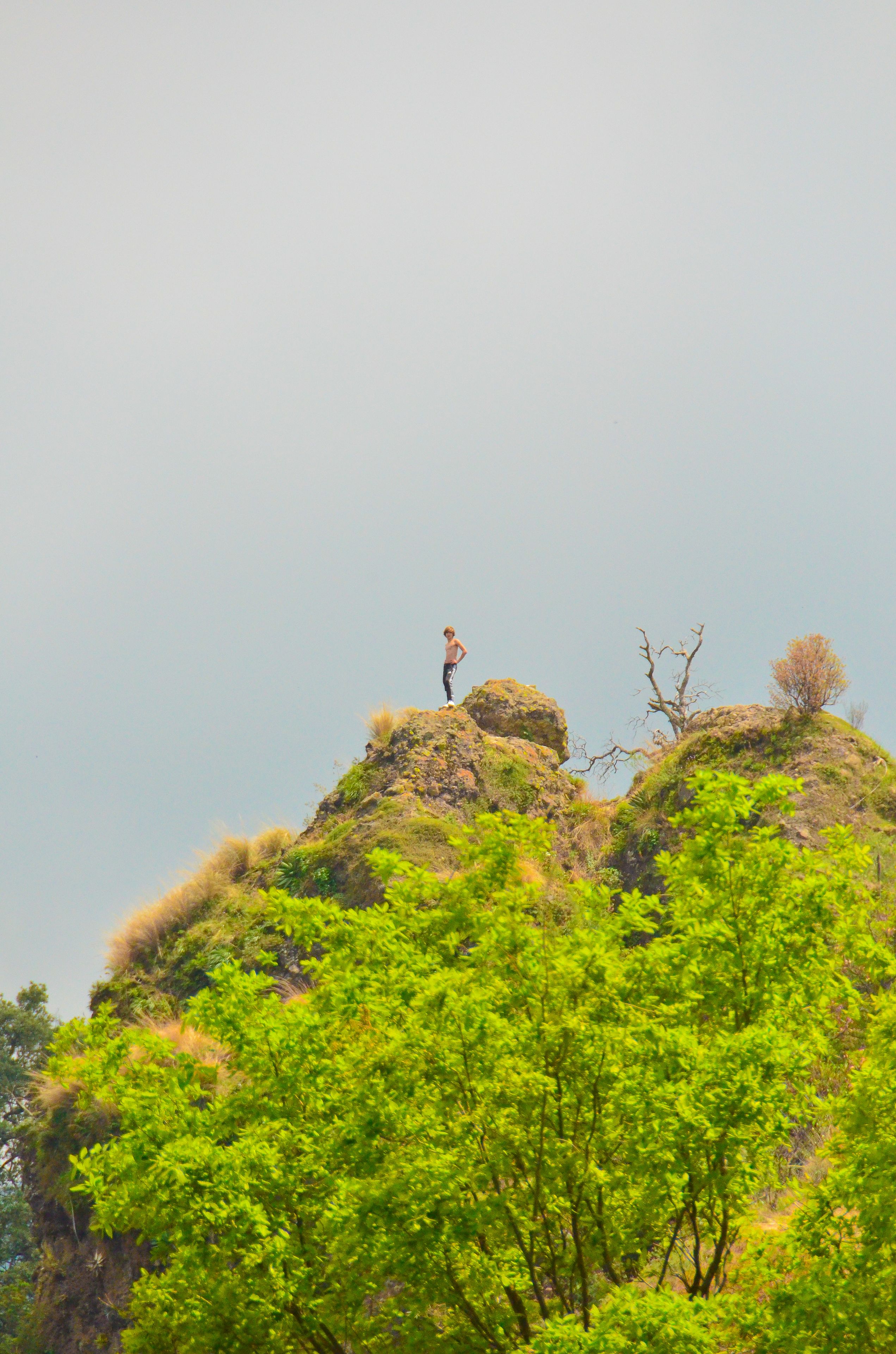 Foto - Posada del Tepozteco - Hotel & Gallery