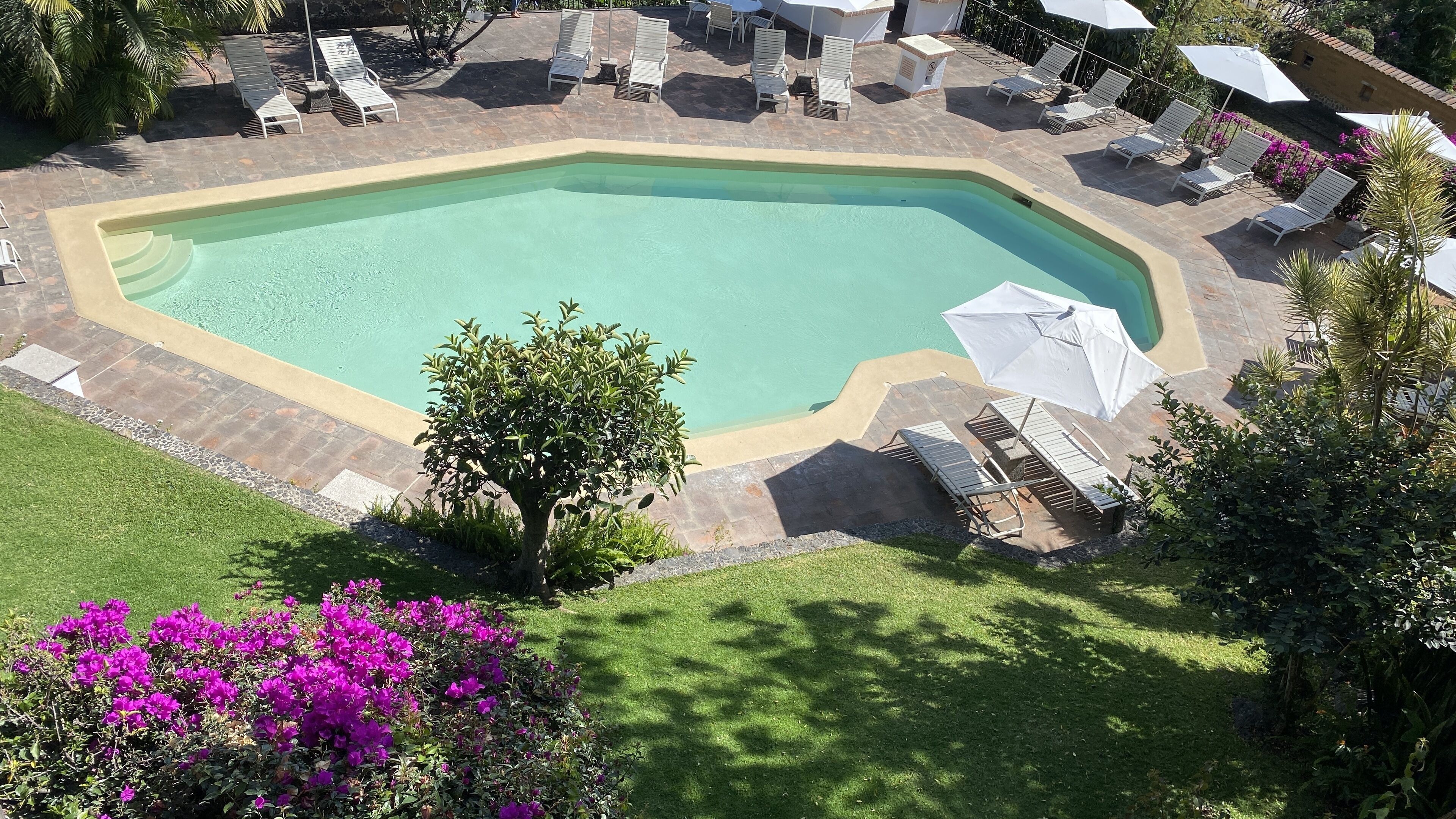 A swimming pool with lounge chairs and umbrellas, surrounded by a stone patio and greenery.