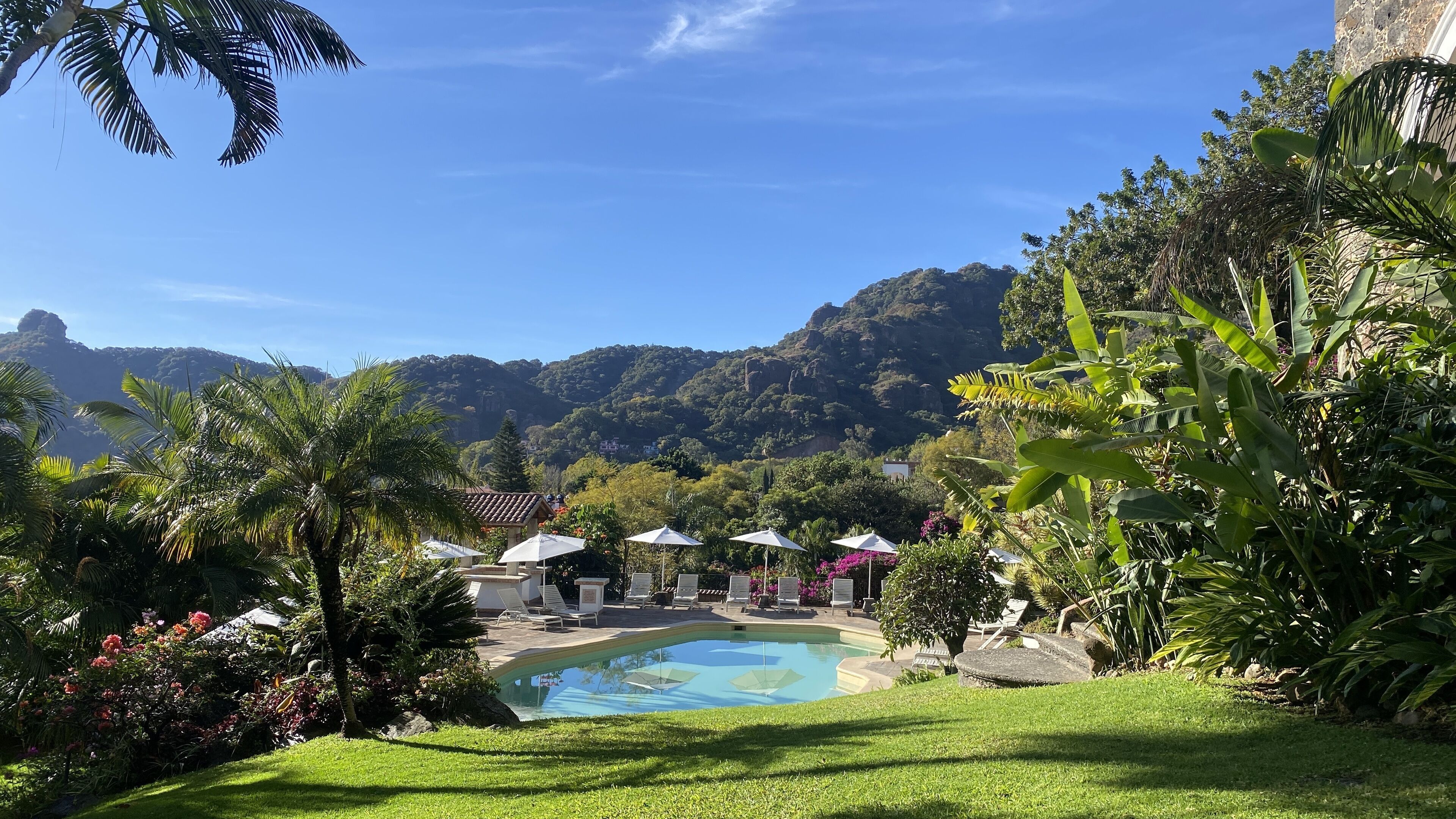 A pool area with lounge chairs and umbrellas, surrounded by lush greenery and mountains in the background.
