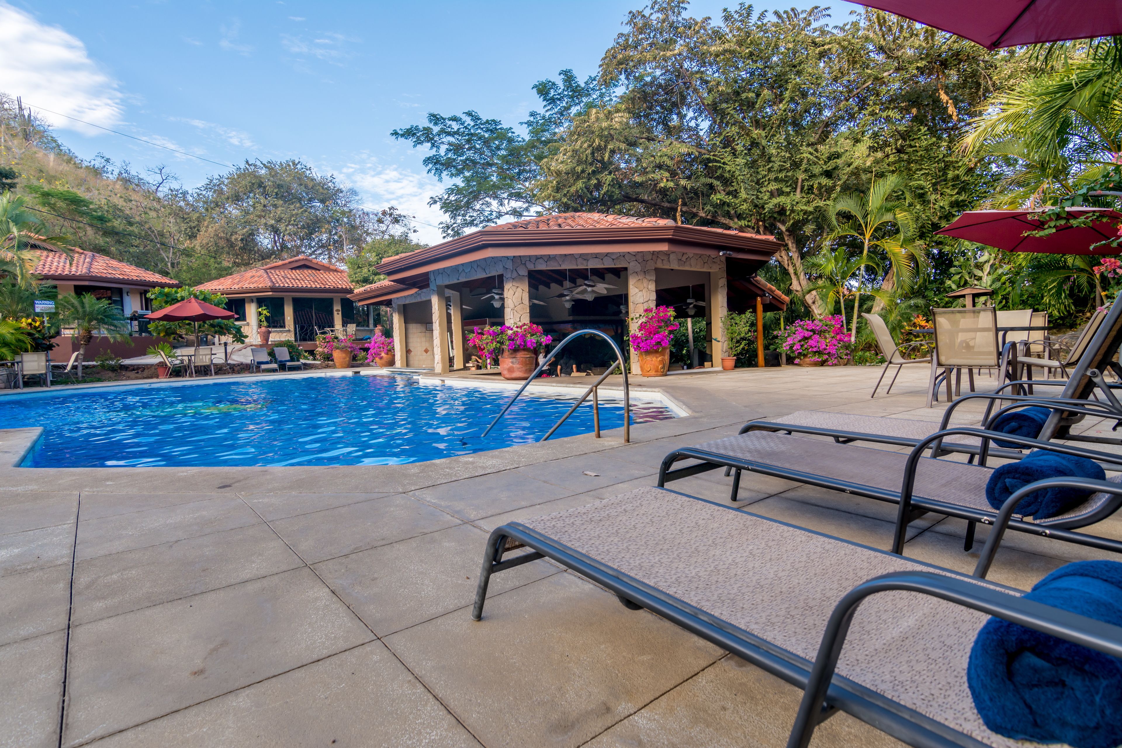 Outdoor pool, pool loungers