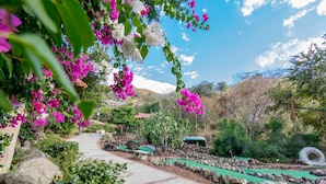 Un sendero atraviesa un jardín lleno de flores vibrantes y diversas plantas.