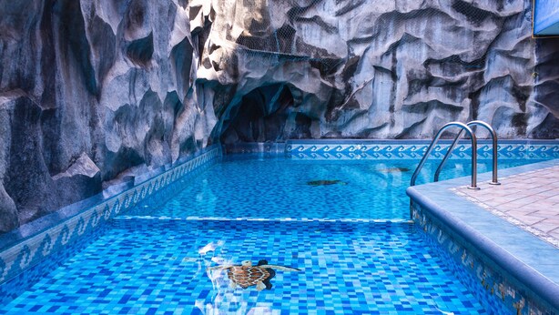 Una piscina con suelo de baldosas y un muro de piedra al fondo.